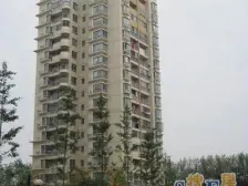 商品房小区 全景落地大明窗!总价/低刚需两房 位置安静不吵闹