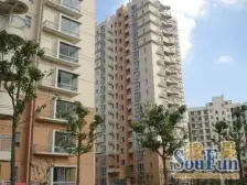 新上好房:高层景观,进门口进出方便诚心卖,双柏路站200m