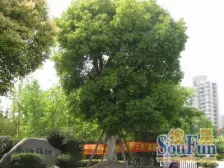 金沙雅苑 不二好房 高区 景观 次W位置 随时看