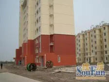 瑞和新苑浦涛路400弄 1室1厅 南