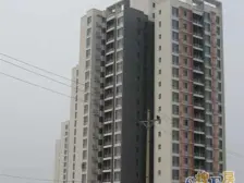 茶园新区 茶花小镇四房58万