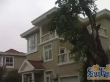 茶花小镇 1室0厅 南