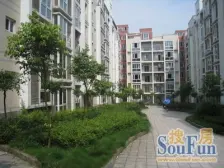 茶园新区,茶花小镇,正规两居,业主变现便宜出售啦