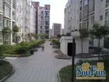 户型方正无浪费,顶跃使用面积大,茶园中间位置。