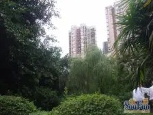 观音桥 东方家园A区一房72万