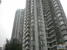 金科绿韵康城 4室2厅 南