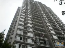 金科一梯两户电梯洋房 看中庭住家安静的 诚心出售