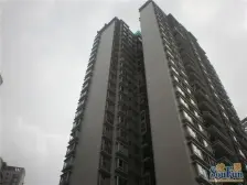 金科物业住家装修 家电齐全 门口就是公园 公交站