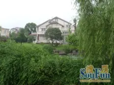 满五 无抵押,通风好 必看好房