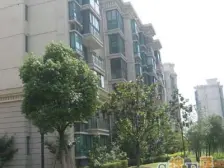 近地铁 1梯2户 满五 中间楼层,必看好房