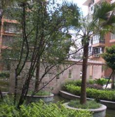 锦都馨苑 2室1厅 东 东南 南