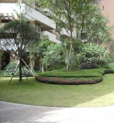 万科朗润园 3室2厅 东南