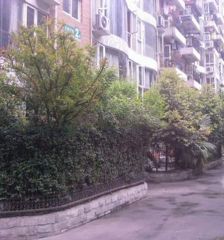 北辰花园3室1厅东南