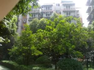 西雅苑3室2厅东南