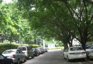 西雅苑3室1厅东西