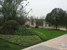 经开区 雅居乐国际花园三房198万