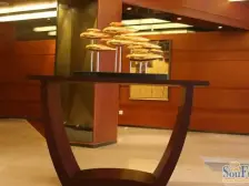 南坪 雅居乐精装大顶跃 带屋顶花园 露台精装花费300万