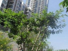 轻轨房+商圈配套好+证在手满二年没增值税+装修保持好