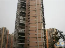 郡都彩舍 1室1厅 东南