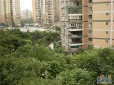 郡都彩舍 3室2厅 南