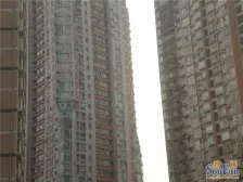 郡都彩舍 1室1厅 南