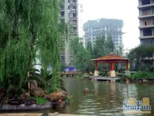 珠江彩世界 2室1厅 东南 南 西南