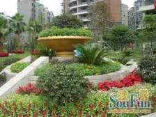 大坪 渝中名郡四房135万