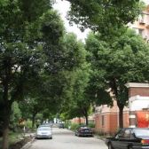 金桥·南二街坊·2室·1厅