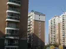 大区聚焦好房 次顶楼 大一房 好位置 不靠路