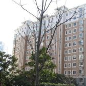 金桥·金桥名都·3室·2厅