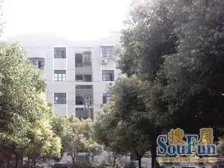 金巷小区(10弄3支弄高层) 1室1厅 西南 南