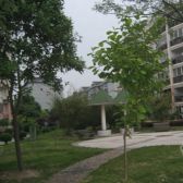 金舟苑3室2厅南