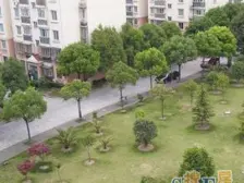 产权清晰,家具全送,通风好,热销好房