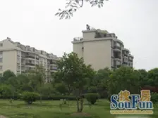 采光视野好,户型正气,3房2厅2卫,看房方便