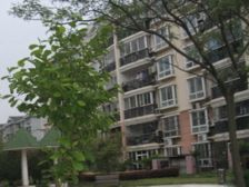 整个金桥性价高的一套,复式,使用面积大,钥匙在我这