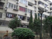 步行地铁9号线,楼栋位置佳,金桥副中芯