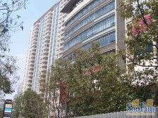 仁恒河滨城(二期) 3室2厅 南