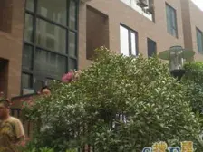 金地未未来4室2厅2卫南朝向730.00万元/套出售