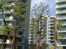 高区复式户型 人车分流社 区南北户型采光好