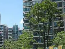 房东诚意出售,地铁口,小区自带会所,人车半分流