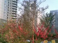 二次装修带地暖,诚意出售,看房提前约