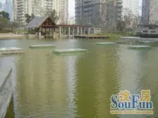 可资金监管,服务费特批0.5享受A股上市公司的服务和售后