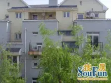 临河别墅,客厅5.2米挑空,M5V一,拎包入住