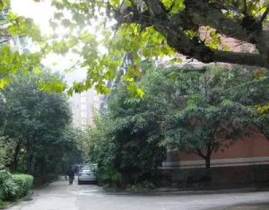 前锋小区2室1厅西南