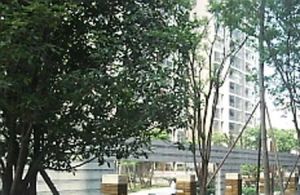 红牌楼广场2室1厅东南