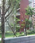 红牌楼广场3室2厅西南