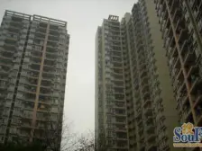 大坪 心巢宜家三房110万