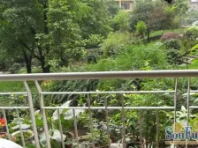 大坪 心巢宜家一房