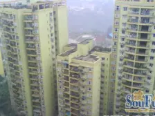 心巢小区 2室1厅 南