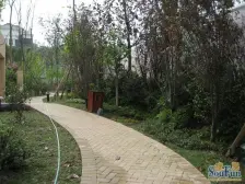 临商圈,近轻轨,出行便利,配套成熟,龙湖智慧服务